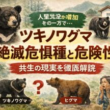 ツキノワグマは絶滅危惧種なのに危険？ヒグマとの違いと人間との共生を徹底解説