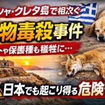 ギリシャで相次ぐ動物毒殺事件｜毒餌が犬・猫・野生動物を襲う現実と日本でできる対策