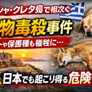 ギリシャで相次ぐ動物毒殺事件｜毒餌が犬・猫・野生動物を襲う現実と日本でできる対策