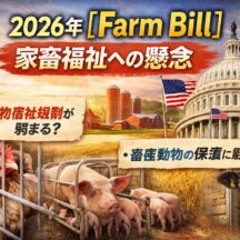 【2026年Farm Bill】アメリカ農業法で家畜福祉は後退？動物福祉団体が懸念する理由