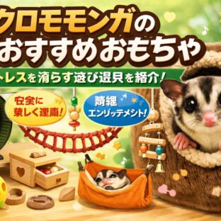フクロモモンガのおもちゃ完全ガイド｜運動不足を防ぐおすすめ遊具