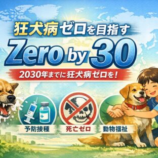 狂犬病ゼロを目指す「Zero by 30」戦略とは？2030年までに死亡ゼロを目指す世界の取り組み