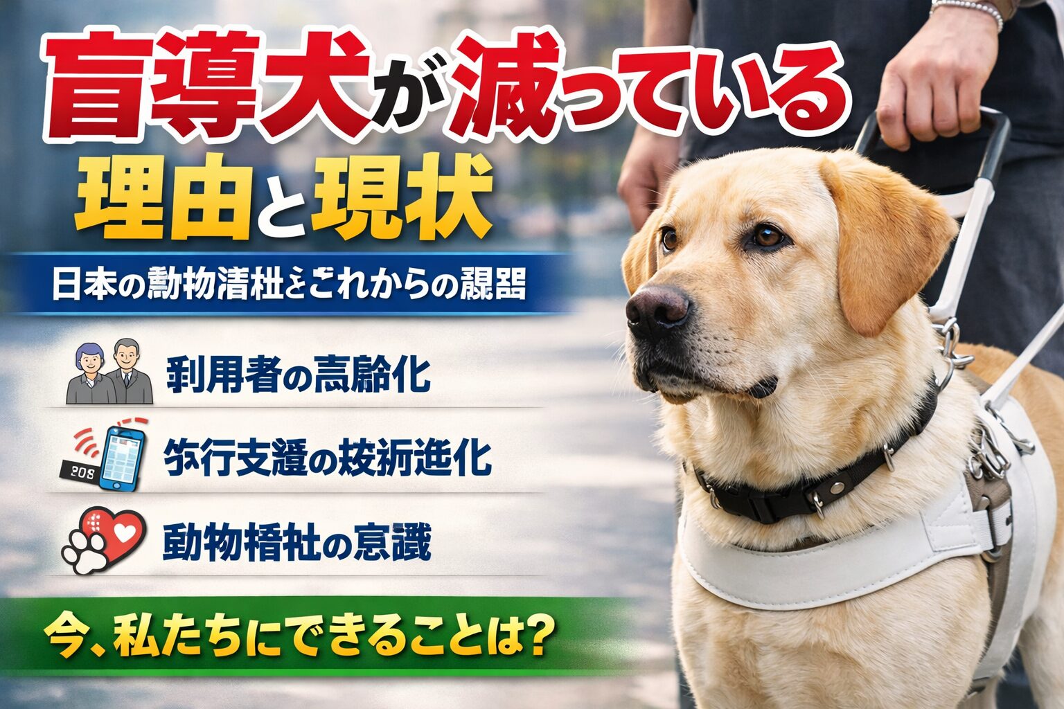 盲導犬が減っている理由