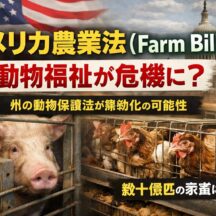 アメリカ農業法（Farm Bill）が動物保護を弱める？数十億匹の家畜に迫る危機を徹底解説