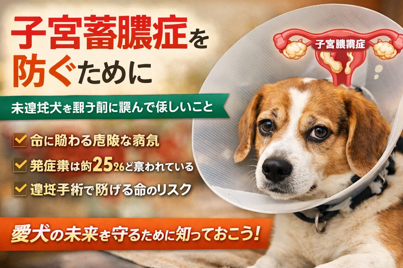 子宮蓄膿症を防ぐために 未避妊犬