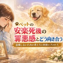 ペットの安楽死を選んだ後の罪悪感とどう向き合うか｜動物福祉の専門家が解説