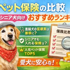 シニア犬のペット保険おすすめ比較ランキング｜高齢犬でも入れる保険と選び方