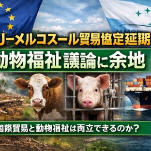 EU–メルコスール貿易協定の延期が動物福祉に与えるチャンス——国際貿易と工場畜産の未来を問う