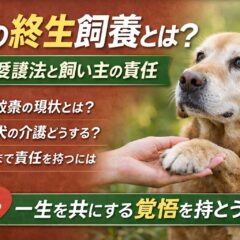 犬の終生飼養とは？動物愛護法と飼い主の責任をわかりやすく解説
