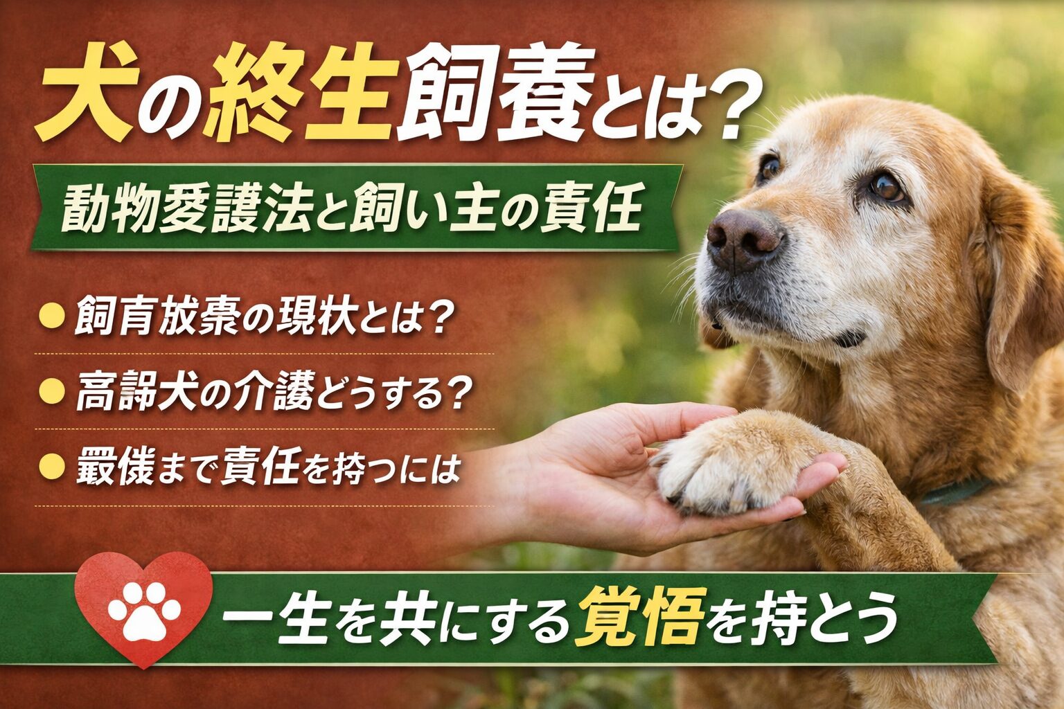 犬の終生飼養とは？動物愛護法