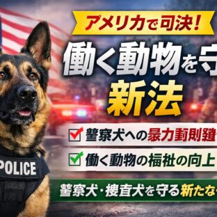 【動物福祉】働く動物を守る新法とは？アメリカで進む警察犬保護の最前線