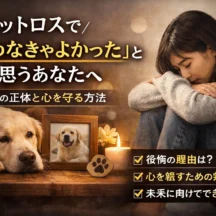 「飼わなきゃよかった」と思ったあなたへ｜ペットロスの罪悪感と正しく向き合う方法