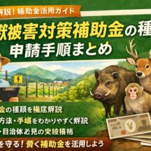 【2026年版】鳥獣被害対策補助金の種類と申請手順まとめ｜電気柵・捕獲・地域対策まで完全解説