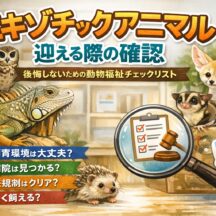 エキゾチックアニマルを迎える前に必ず確認すべきこと【動物福祉の観点から徹底解説】