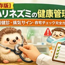 【保存版】ハリネズミの健康管理｜定期健診・病気サイン・自宅チェック完全ガイド