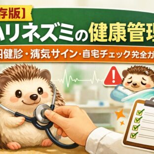 【保存版】ハリネズミの健康管理｜定期健診・病気サイン・自宅チェック完全ガイド