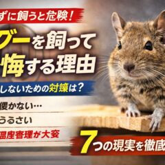 デグーを飼って後悔する理由7選｜飼う前に知っておくべき現実と正しい飼い方