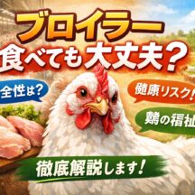 ブロイラーは食べても大丈夫？安全性・飼育環境・動物福祉の視点から徹底解説