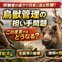 狩猟者が減っている日本の危機｜鳥獣管理の担い手不足と野生動物問題の現状