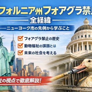 カリフォルニア州フォアグラ禁止の全経緯｜ニューヨーク市の規制と動物福祉問題を解説