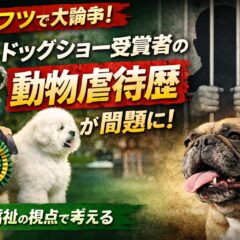 【クラフツ論争】世界最大ドッグショーで動物虐待歴？犬の繁殖と動物福祉問題を解説