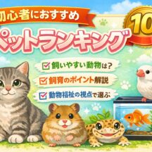 初心者におすすめのペットランキング10｜飼いやすい動物と選び方を動物福祉の視点で解説