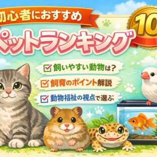 初心者におすすめのペットランキング10｜飼いやすい動物と選び方を動物福祉の視点で解説