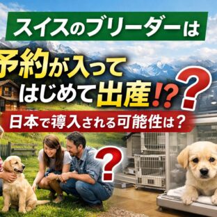 スイスのブリーダーが実践する「予約注文出産」とは？日本の動物福祉が変わる未来を考える