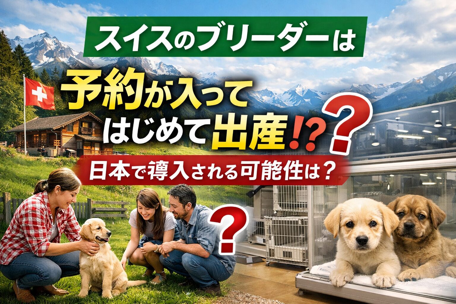 スイスのブリーダー　予約出産