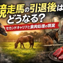 競走馬の引退後はどうなる？セカンドキャリアと食肉処理の現実を動物福祉の視点で解説