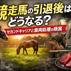 競走馬の引退後はどうなる？セカンドキャリアと食肉処理の現実を動物福祉の視点で解説