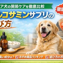 シニア犬のグルコサミンサプリおすすめ比較｜関節ケアの選び方と効果を徹底解説