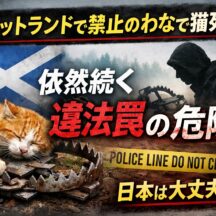 スコットランドで禁止の罠で猫が死亡｜違法わなが今も動物を脅かす現実と日本への警鐘