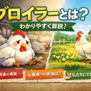 ブロイラーとは？わかりやすく解説｜知られざる実態と動物福祉の現在地