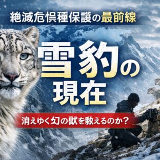 雪豹（スノーレオパード）はなぜ絶滅危機？個体数・原因・保護の最前線を解説