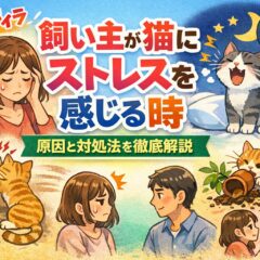 飼い主が猫にストレスを感じる瞬間とは？原因・対処法を動物福祉の視点で徹底解説