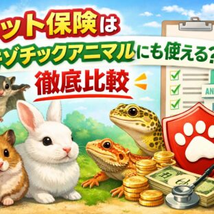 エキゾチックアニマルのペット保険はある？小動物・爬虫類まで徹底比較