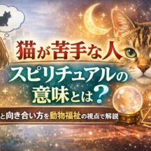 猫が苦手な人のスピリチュアルな意味とは？霊的感受性・エネルギーの視点から深掘り解説