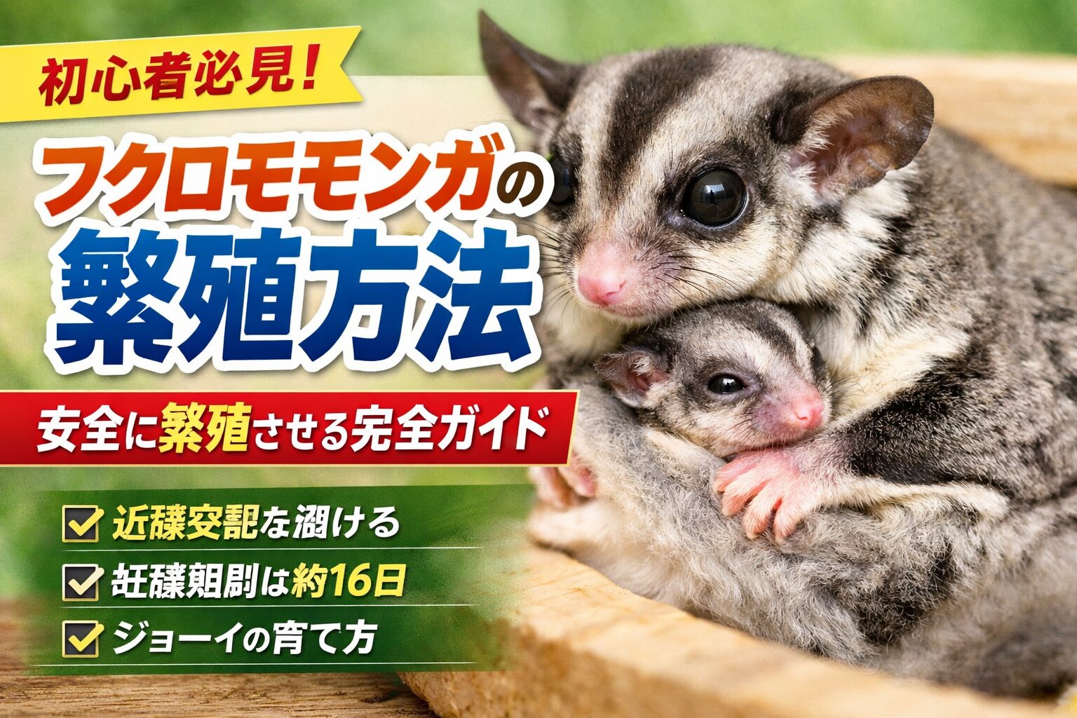 フクロモモンガの繁殖方法