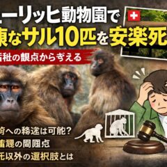 チューリッヒ動物園で健康なサル10匹を安楽死｜動物園の個体数管理と動物福祉の問題