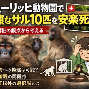 チューリッヒ動物園で健康なサル10匹を安楽死｜動物園の個体数管理と動物福祉の問題