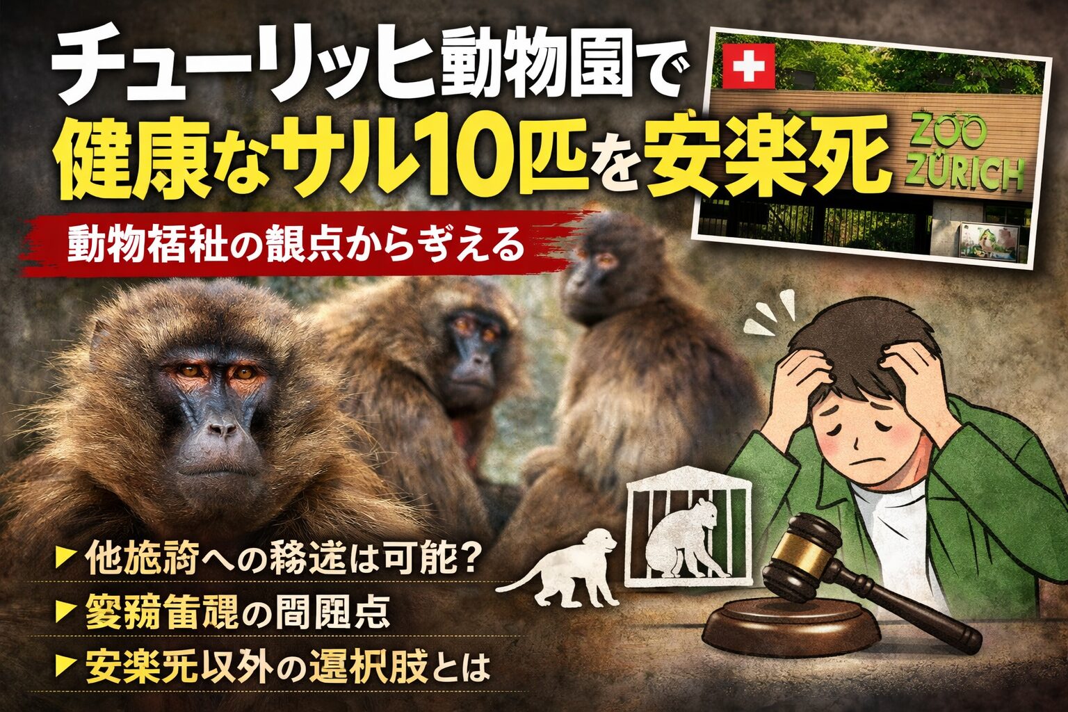 チューリッヒ動物園で健康なサル10匹を安楽死