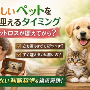 新しいペットを迎えるタイミング｜ペットロスが癒えてから？後悔しない決断の全知識