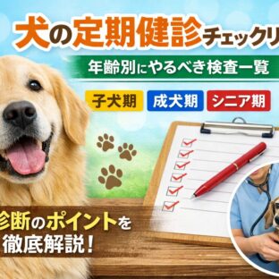 犬の健康診断は何をする？年齢別の定期健診チェックリスト完全ガイド