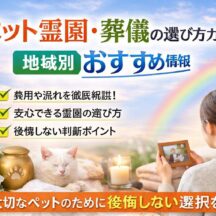 ペット霊園・葬儀の選び方ガイド｜後悔しないための完全チェックリストと地域別おすすめ情報