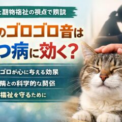 猫のゴロゴロ音がうつ病に効く？科学が証明した「癒しの周波数」と動物福祉の深い関係