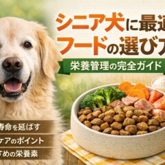 シニア犬のフードの選び方｜老犬の栄養管理と健康寿命を伸ばす完全ガイド