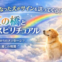 亡くなった犬がサインを送ってくる？虹の橋とペットロスの本当の意味