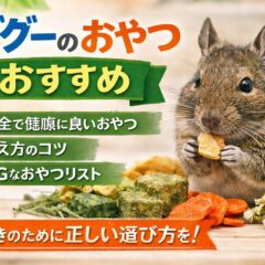 デグーのおやつおすすめ完全ガイド｜与えていい食材・ダメな食材と正しい頻度を徹底解説
