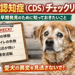 犬の認知症チェックリスト｜見逃すと危険な初期症状と対策【獣医推奨】